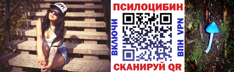 Псилоцибиновые грибы Psilocybine cubensis  Карабулак 