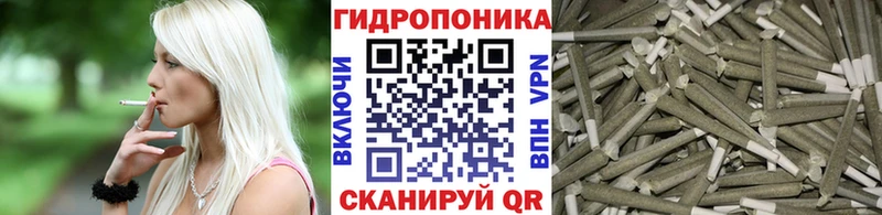 сколько стоит  Карабулак  Конопля ГИДРОПОН 
